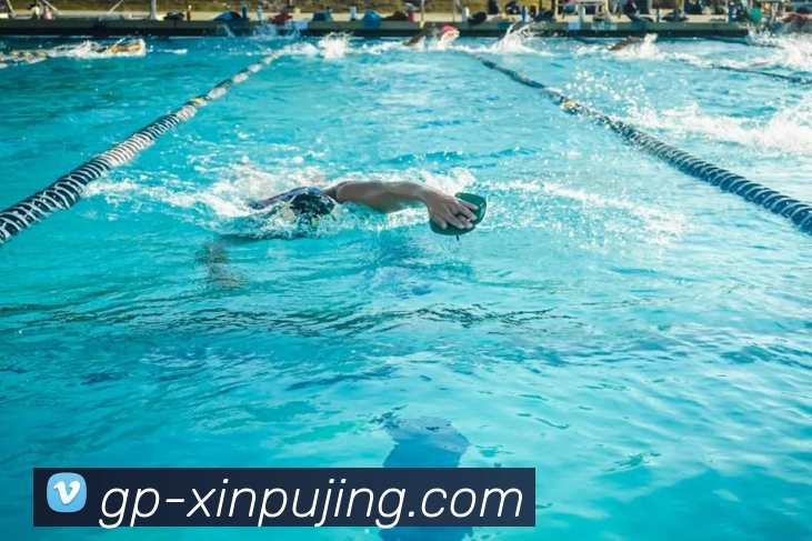 澳门新葡京娱乐平台生态图