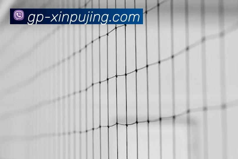 澳门新葡京娱乐APP 封面图